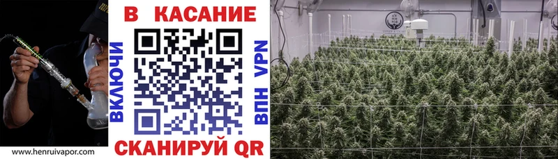 Где купить наркоту Тырныауз Канабис  A PVP  Гашиш  Меф  КОКАИН 