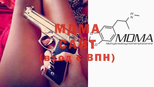 хмурый Аркадак