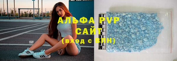 хмурый Аркадак