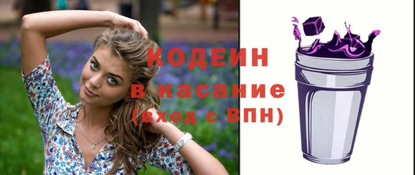 хмурый Аркадак
