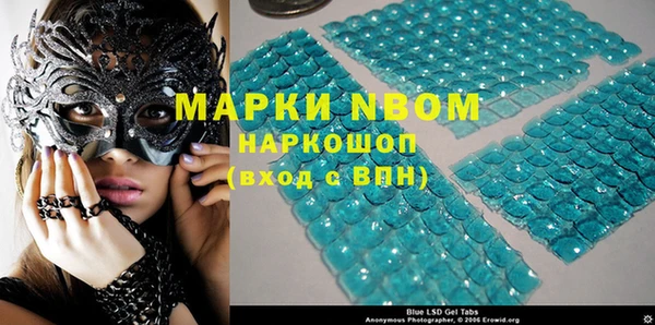 хмурый Аркадак