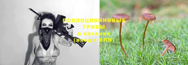 экстази Арсеньев