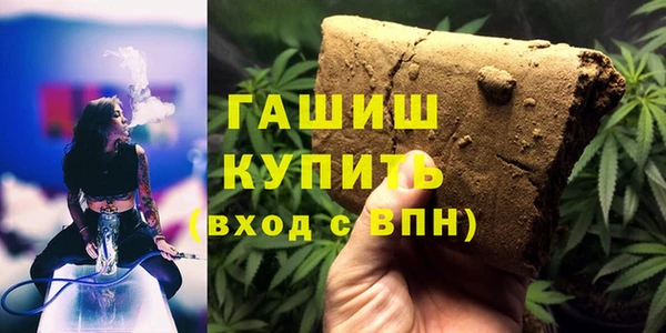 хмурый Аркадак
