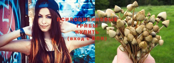 экстази Арсеньев