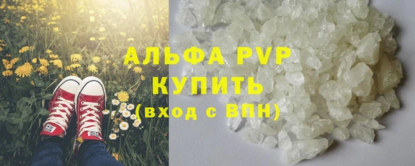 хмурый Аркадак